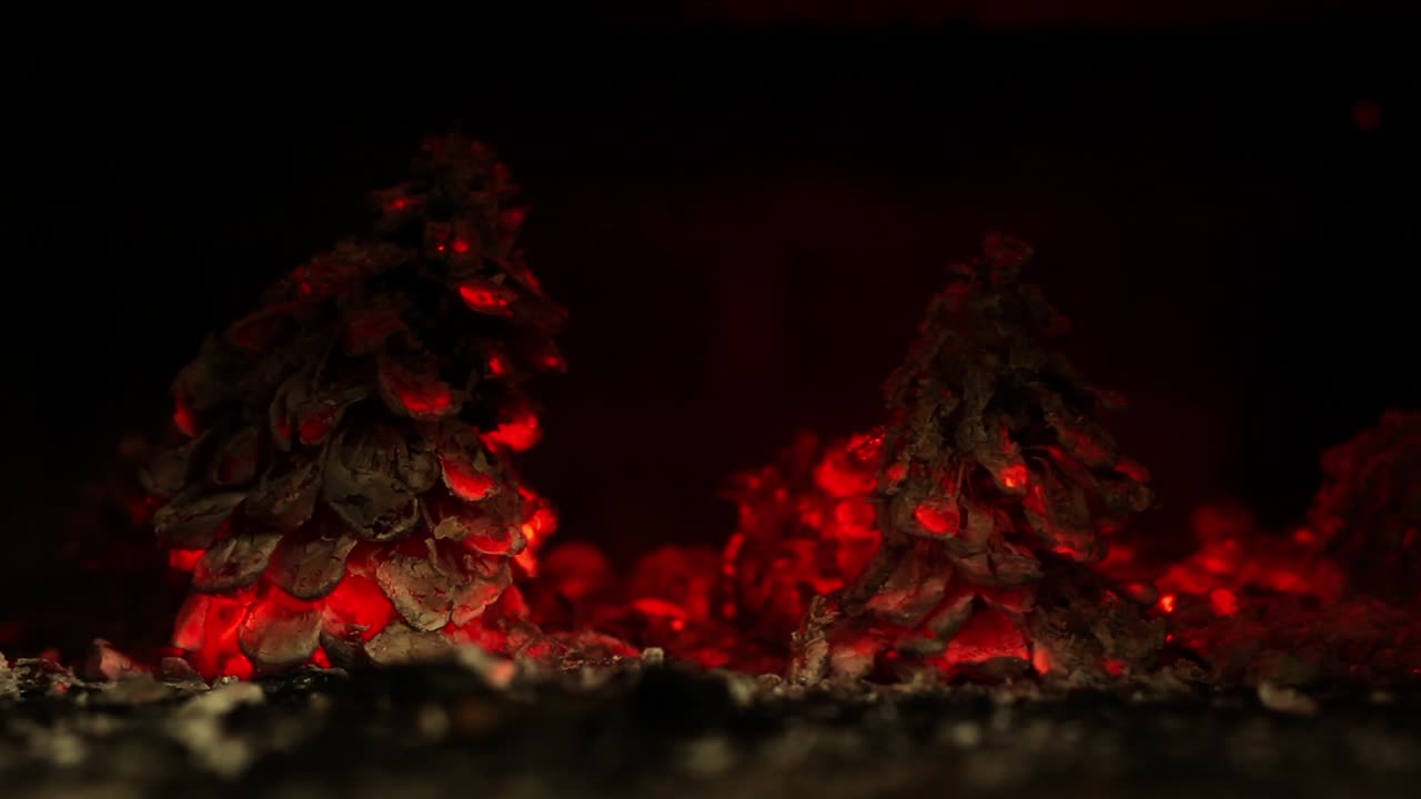 Glühende Tannenzapfen glimmen in einem dunklen Kamin
