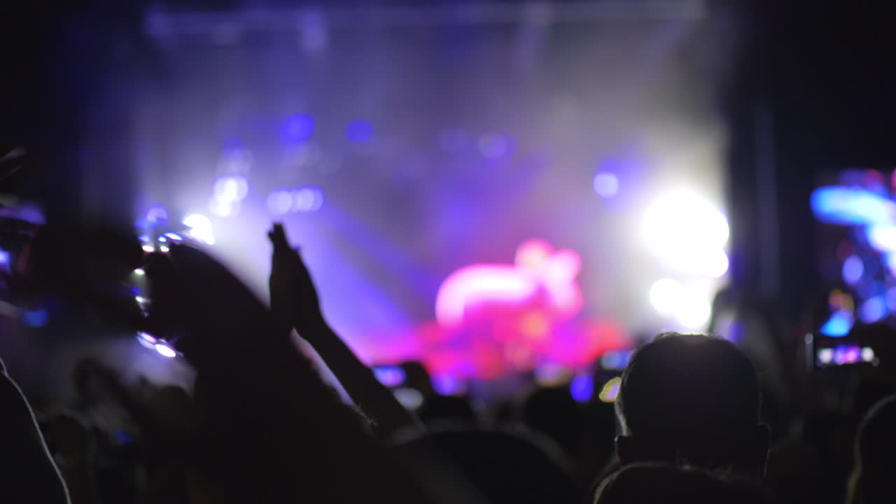 En cámara lenta de una multitud animada en un concierto