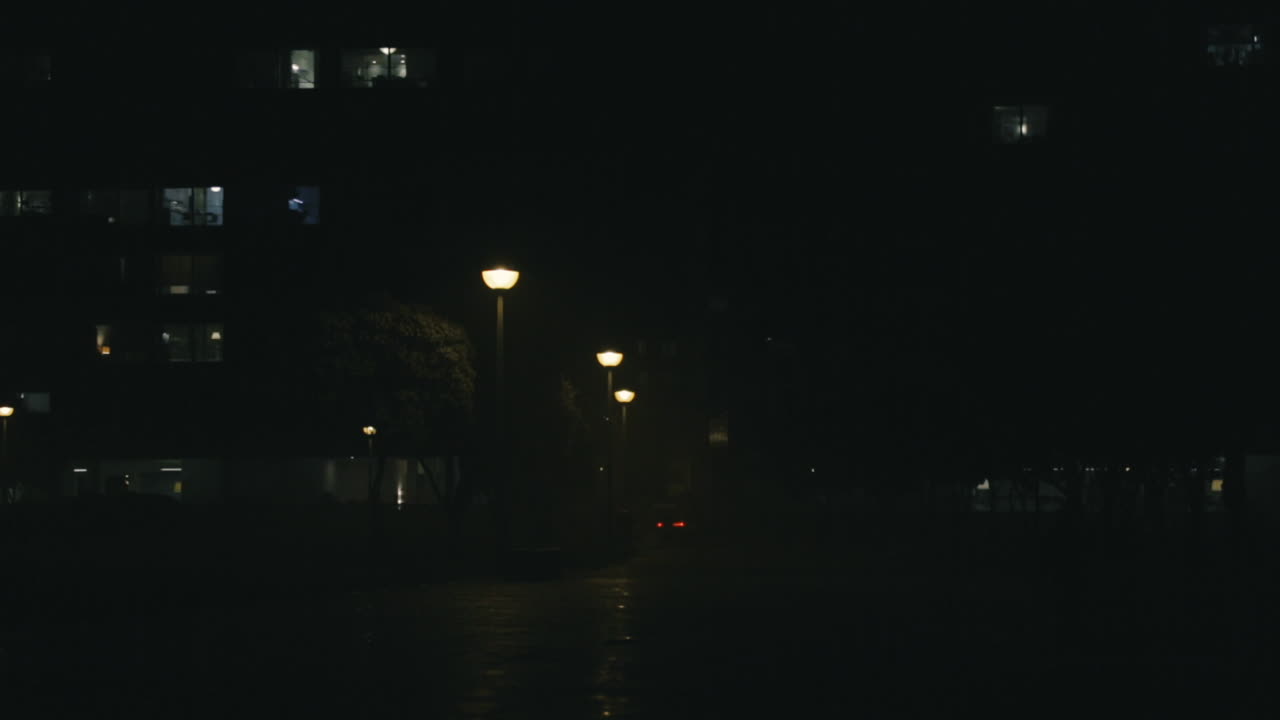 밤에는 주거 지역에 주차하고 자동차가 지나가는 거리로 이어집니다.