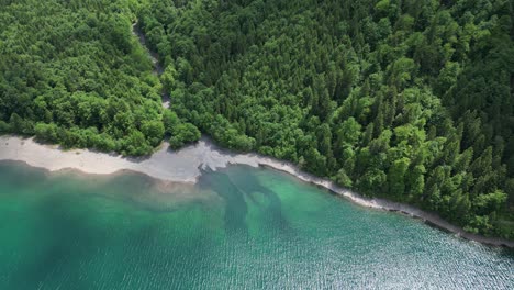 Natural-beauty-of-Klontalersee-lake-shoreline-adorned-with-Alpine-forest