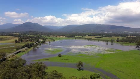 flooded farmland near healesville victoria, drone push shot