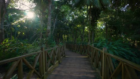 dunn’s river falls & park. wooden bridge in jamaica | ocho rios coast | tranquility garden.