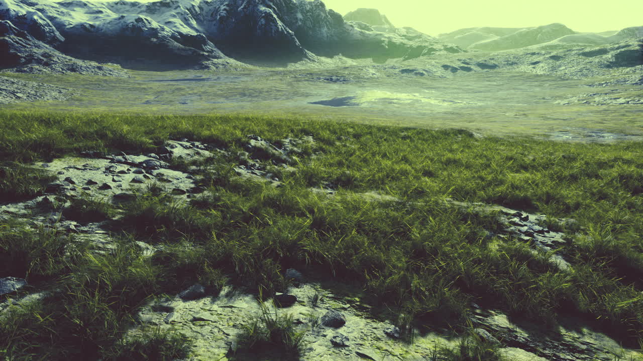 Majestic landscape featuring lush grass and towering mountains at dawn