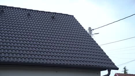 house is covered with a modern metal roof to protect from heavy rain