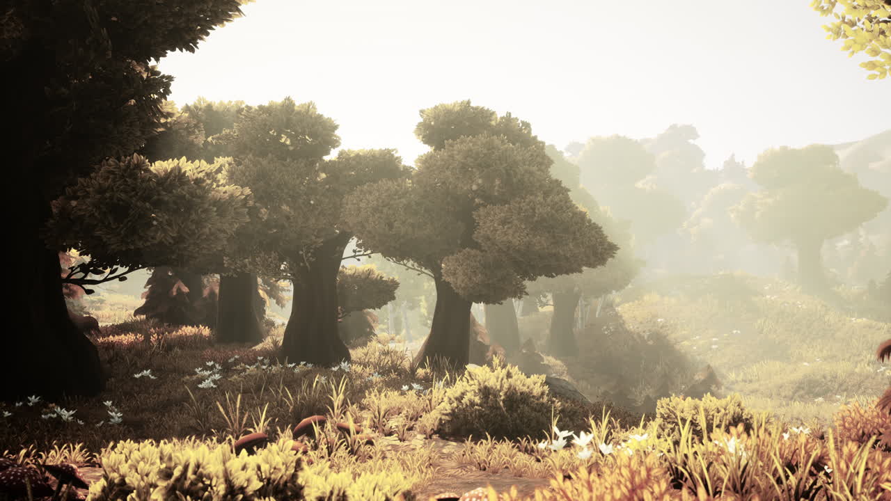 안개가 많은 아침에 만화의 해가 뜨는 것