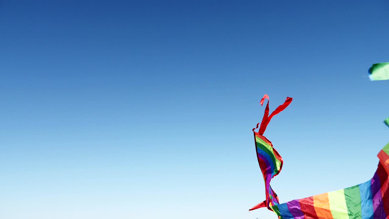 카메라가 파란 하늘의 카이트를 겨냥하고 있습니다.