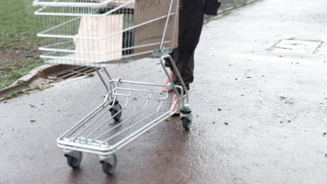 homeless person walking in rain with shopping cart