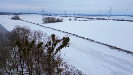 Winter-Snow-river-wood-forest-cloudy-sky-Germany