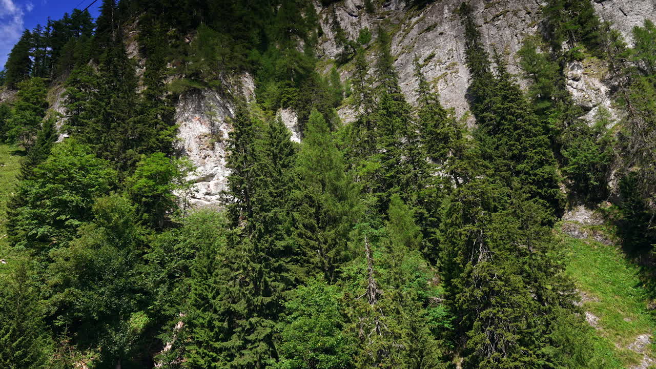 Cliffs embraced by green woods. Tall cliffs covered in vibrant greenery reveal a serene wilderness