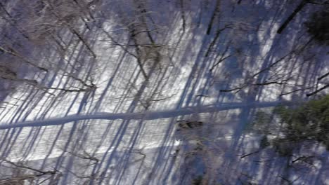 Tracking-a-black-snowmobile-through-a-forest-trail-with-lond-diagonal-shadows-AERIAL-TOP-DOWN
