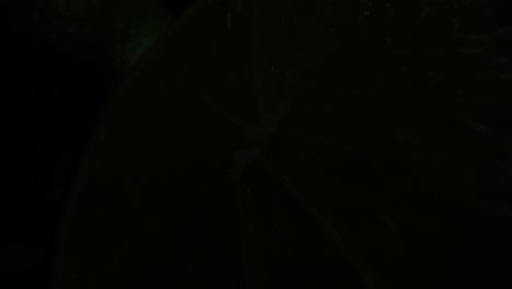 video macro de la fruta de lima entrando y saliendo de la luz