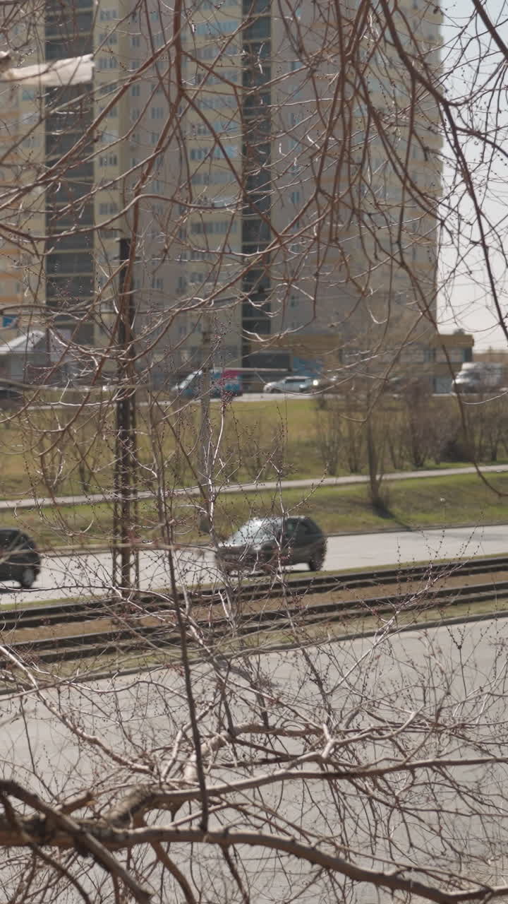 뒷면에 자동차가 운전하는 도시 도로의 근접한 모습, 전면에 있는 잎없는 나무 가지는 도시 풍경에 대한 자연적인 프레임을 만니다.
