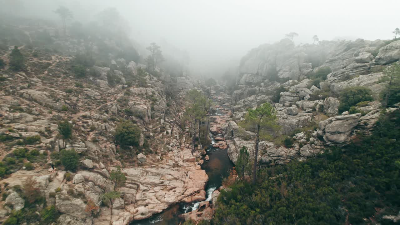 aéreo, avión no tripulado, niebla sobre un pintoresco río de montaña, córcega, francia