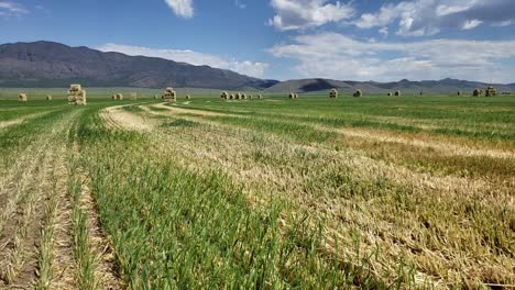 aerial drone footage of a hay field