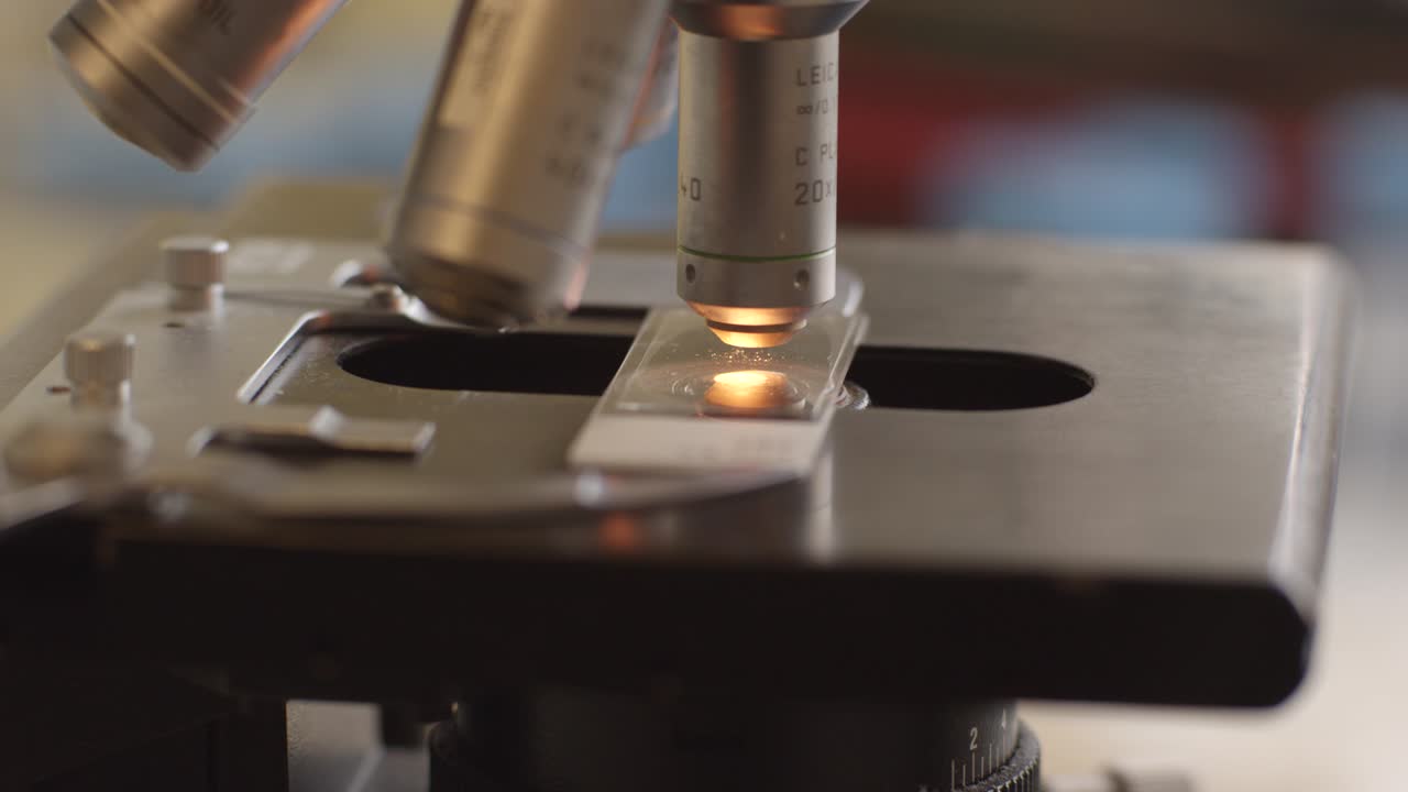 현미경 01에서 샘플을 닫습니다.