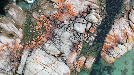 aerial of bay of fires bright orange rocks with waves in rock pools in the sea