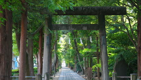 stone gateway at entrance of japanese shinto shrine on an breezy autumn day