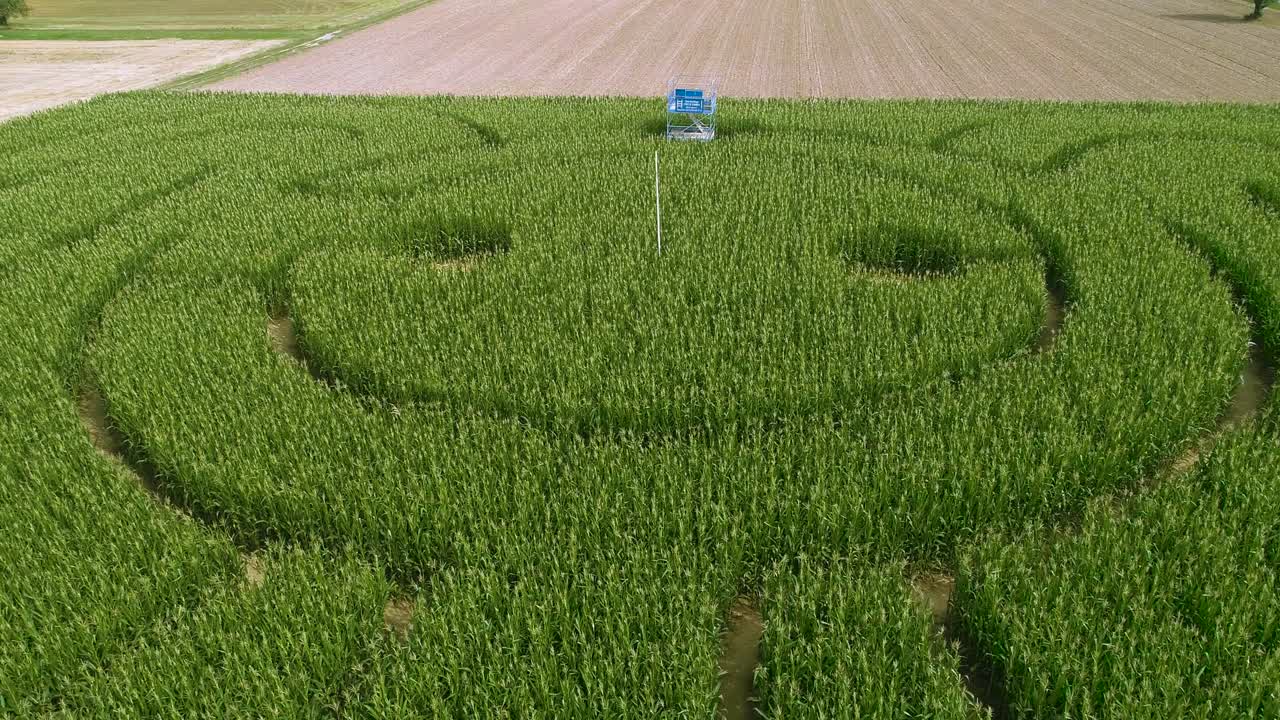 vista aérea del laberinto de maíz