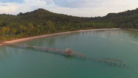 aerial view of tropical beach with pier and palm trees