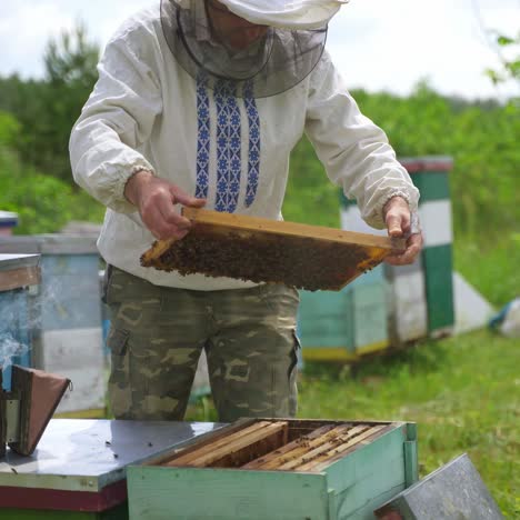 farmer works on apiary. male beekeeper inspecting bees in a beehive in summer. production of healthy honey in apiary. beekeeping concept.