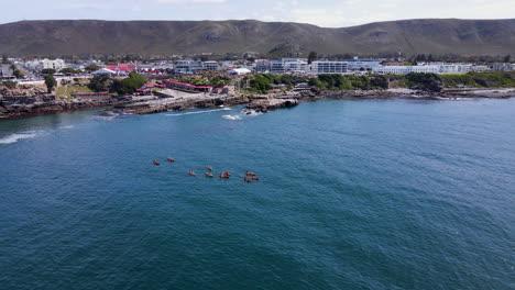 Kayakers-explore-marine-environment-of-Walker-Bay,-aerial-view,-Hermanus