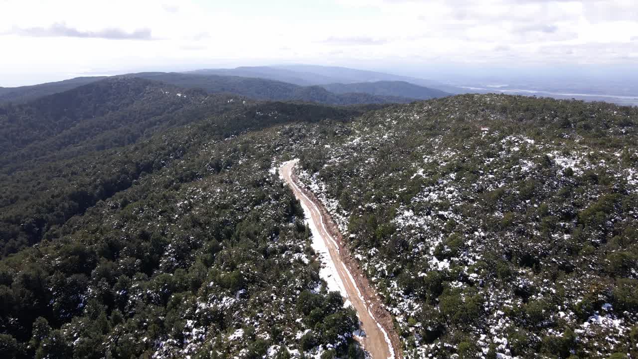 toma aérea de bosque nevado en el parque oncol, chile
