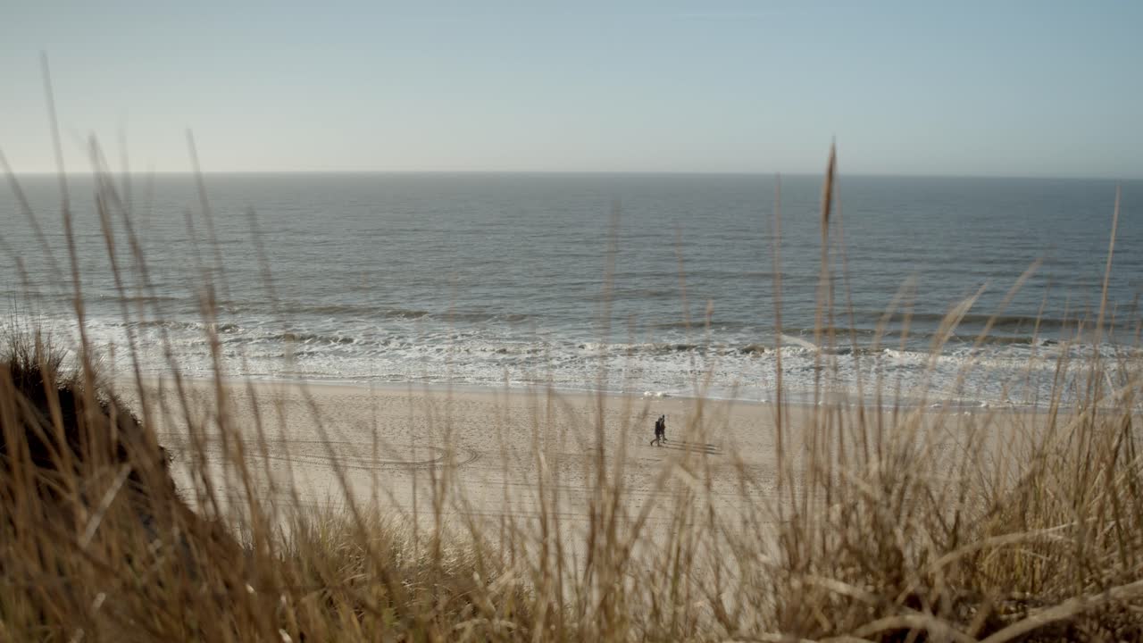 북해를 배경으로 해변에 있는 사람들과 실트에서 바람에 움직이는 사구 그라