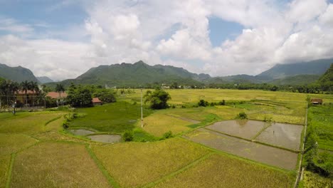 Beautiful-view-of-iconic-rice-paddy-terrace-fields-in-Mai-Chau,-Vietnam-Asia