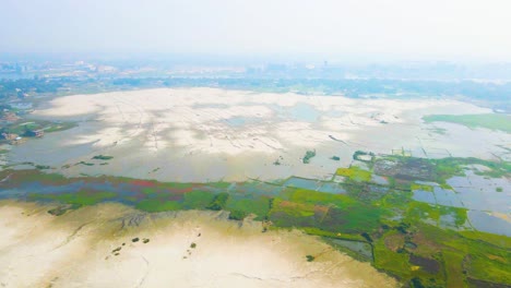 green and vivid farmland in wetland in high angle drone view