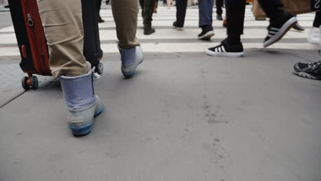 a woman with a travel bag on wheels goes to a pedestrian crossing in a crowd of people only legs are