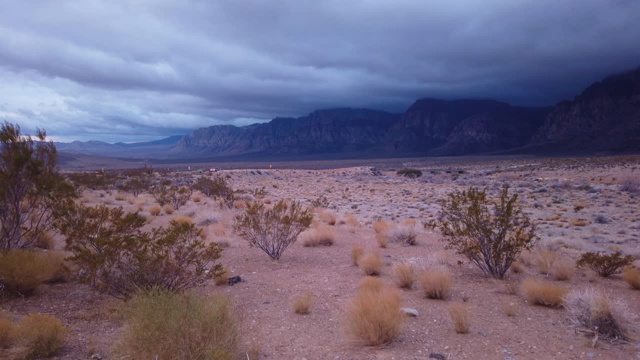 Gimbal-opptak som panorerer opp fra en piggete ørkenplante til ruvende ørkenklipper innhyllet av illevarslende skyer i Red Rock Canyon, Nevada i dempet lys