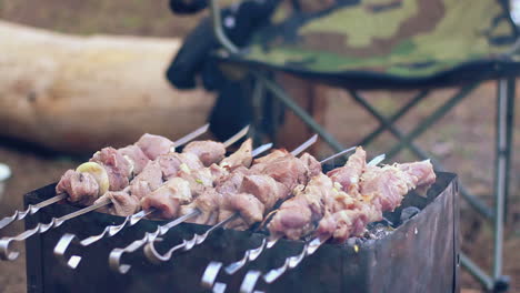 raw meat grilling on mangal. pieces of meat cooking on metal skewers