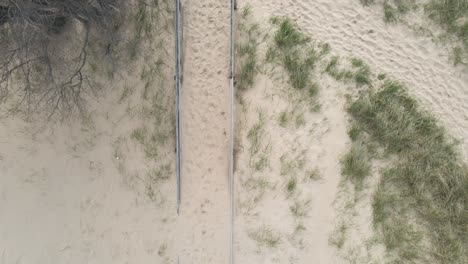 Bird's-eye-track-over-Kruse-park-Boardwalk