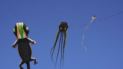 shaped kites flying in the blue sky.slow motion.4k