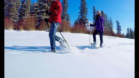 Skier-couple-walking-on-snowy-landscape-4k