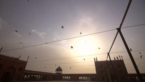 birds flying over a mosque in india