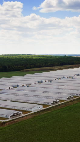 white farmhouses in farmland. modern farm buildings on the green field. agricultural complex surrounded by beautiful nature. aerial view. vertical video