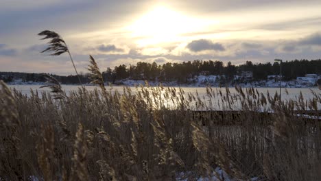 Winterlandschaft-Am-Ende-Des-Tages