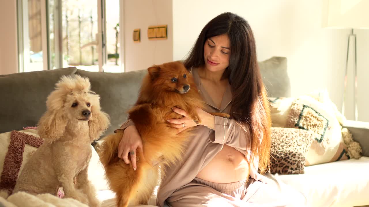 Pregnant woman with her dogs