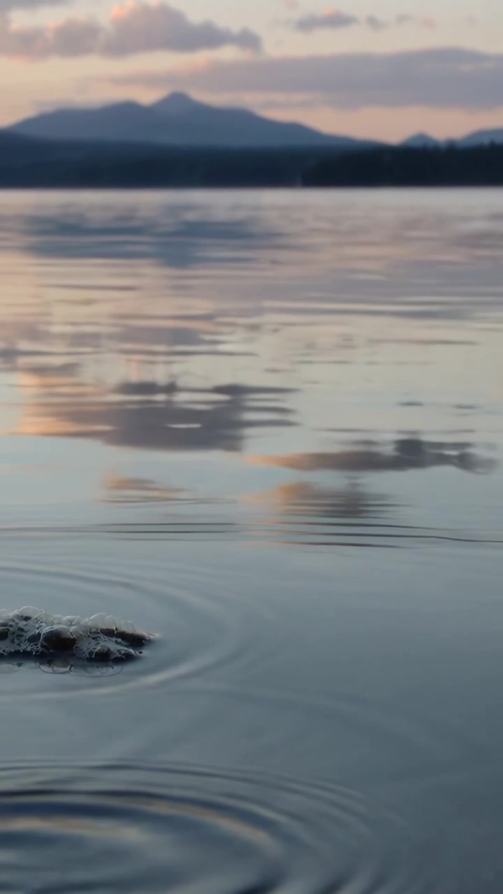 Video vertical: Una piedra cayendo crea una pequeña salpicadura enviando ondas a través de un lago en calma al anochecer.
