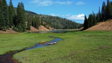 Hermoso-Vuelo-En-Una-Toma-Aérea-De-Un-Dron-De-Un-Impresionante-Paisaje-Natural-Del-Lago-Del-Embalse-De-Anderson-Meadow-Hasta-El-Cañón-Del-Castor-En-Utah-Con-Un-Gran-Bosque-De-Pinos,-Un-Pequeño-Arroyo-Y-Un-Campo-De-Hierba