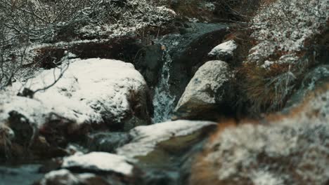 La-Primera-Nieve-Cubre-Los-Arbustos-De-Piedra-Y-La-Hierba-Marchita-A-Orillas-Del-Pequeño-Arroyo