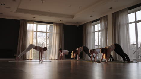 in slow motion a group of women together do yoga of different ages and weight categories thin and fat women in the gym in the morning in the sun. the glare of the sun on the floor