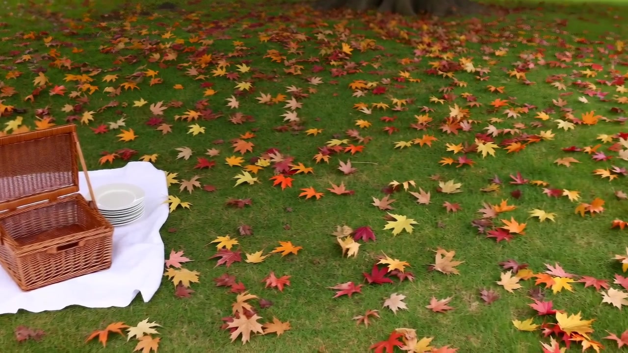 Un panier de pique-nique tranquille repose sur un champ herbeux orné de feuilles mortes, capturé d'une perspective grand-angle au niveau du sol. Cette scène de nature sereine incarne l'essence de l'automne.