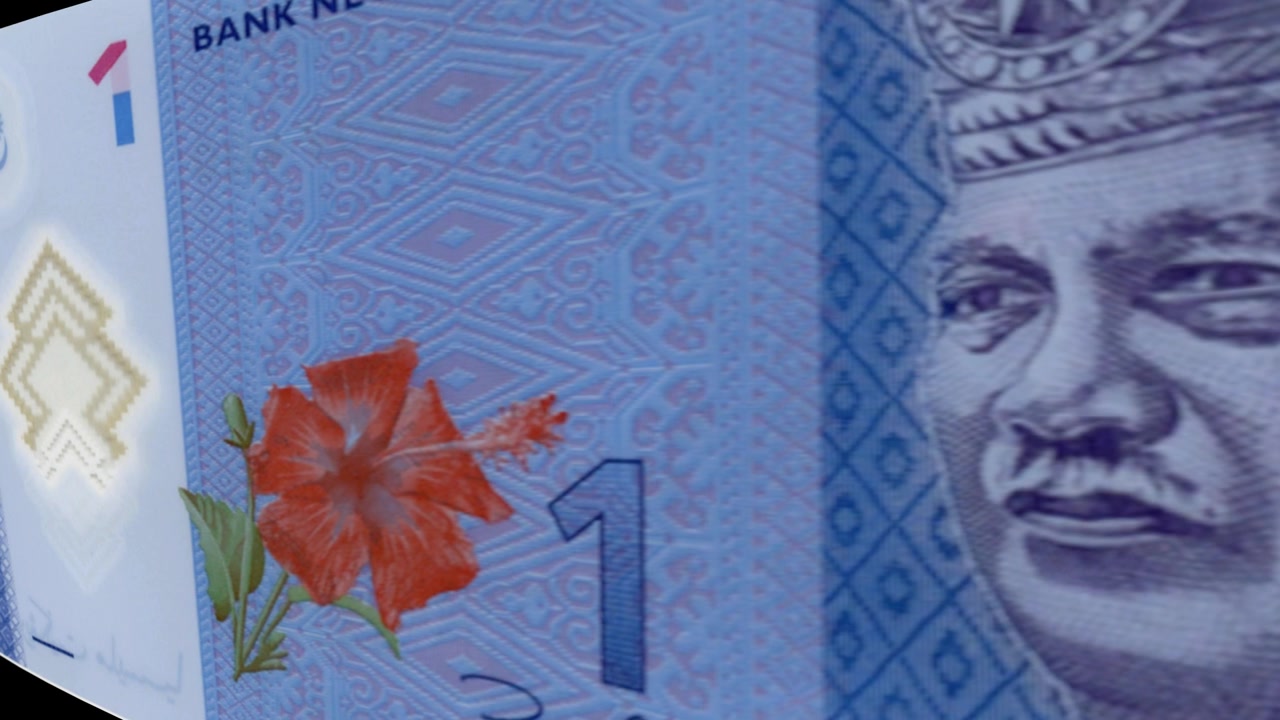 Malaysian Ringgit Banknote Details