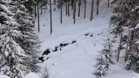 Pequeño-Arroyo-En-Medio-Del-Paisaje-Nevado-De-Invierno-En-Los-Alpes-Italianos