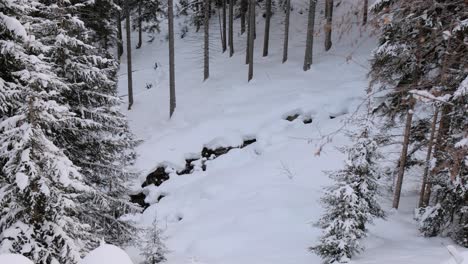 small stream in the middle of winter snow landscape in the italian alps
