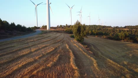 Campos-Dorados-Y-Molinos-De-Viento-Distantes-En-Igualada,-Barcelona-Durante-La-Puesta-De-Sol