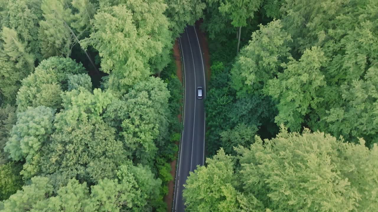 숲 을 가로지르는 도로 의 공중 사진