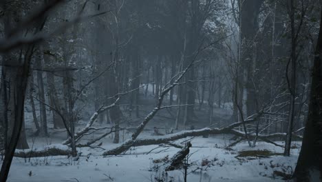 Un-Bosque-De-Pinos-Oscuro-Y-Espeluznante-En-Invierno,-Con-Niebla,-Nieve-Cubriendo-El-Suelo-Y-Cielo-Nublado,-Animación-3d,-Paisaje-Animado,-Zoom-De-Cámara